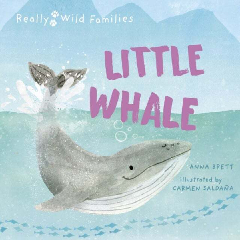 Little Whale av Anna Brett