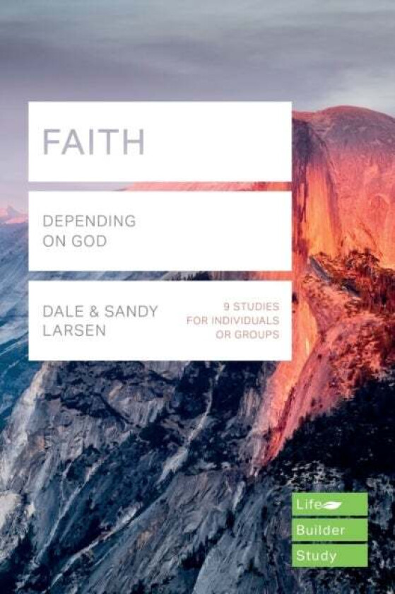 Faith (Lifebuilder Study Guides) av Dale Larsen