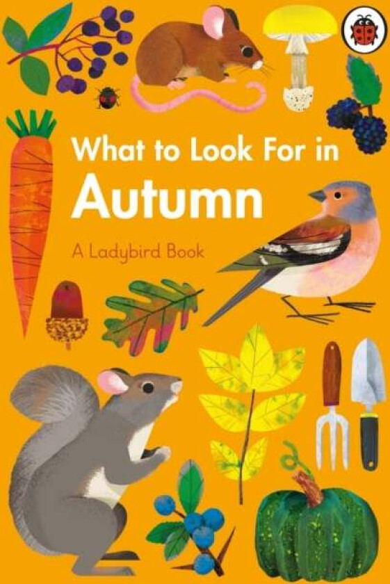 What to Look For in Autumn av Elizabeth Jenner