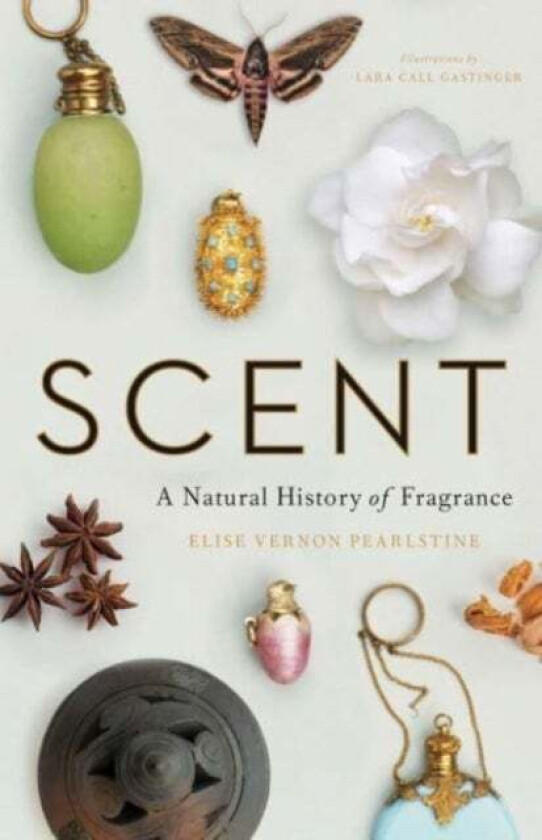 Scent av Elise Vernon Pearlstine