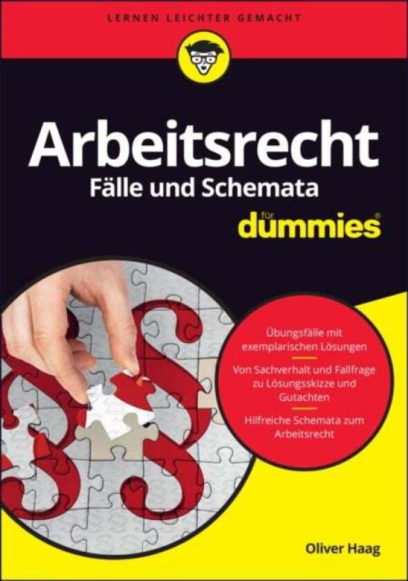 Arbeitsrecht Falle und Schemata fur Dummies av Oliver Haag