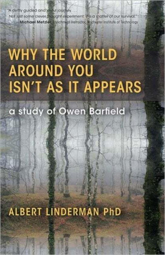 Why the World Around You Isn't As It Appears av Albert Linderman