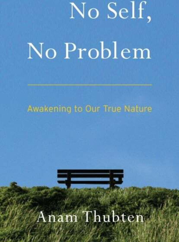 No Self, No Problem av Anam Thubten