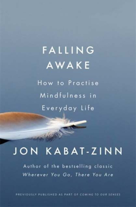 Falling Awake av Jon Kabat-Zinn