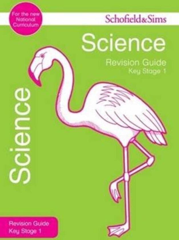 Key Stage 1 Science Revision Guide av Penny Johnson