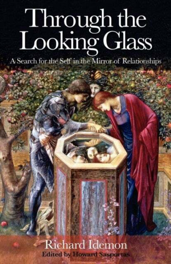 Through the Looking Glass av Richard Idemon