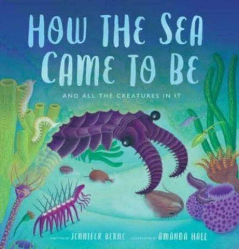 How the Sea Came to Be av Jennifer Berne