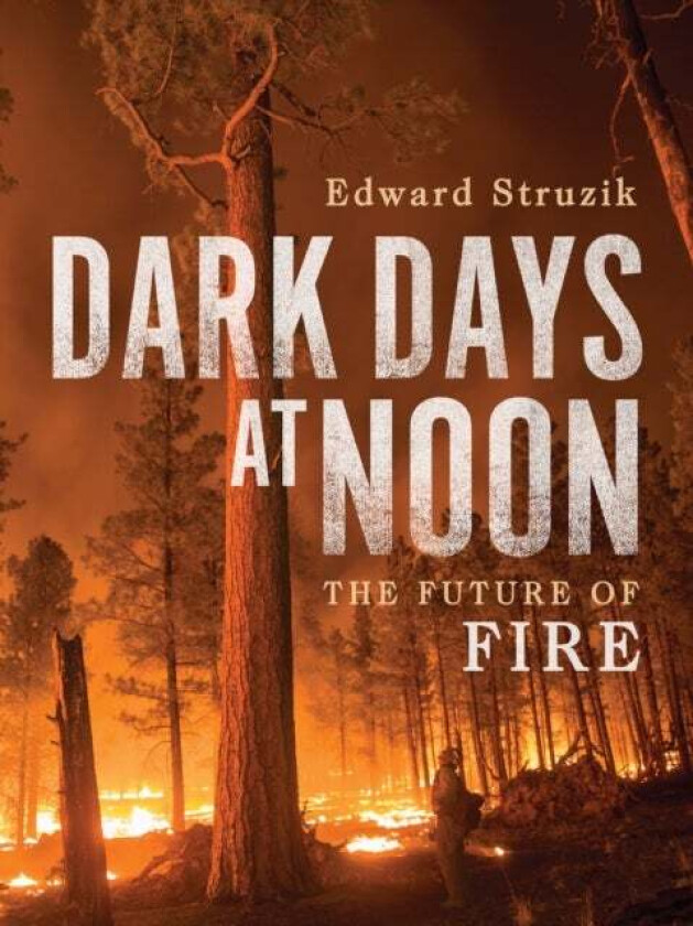 Dark Days at Noon av Edward Struzik