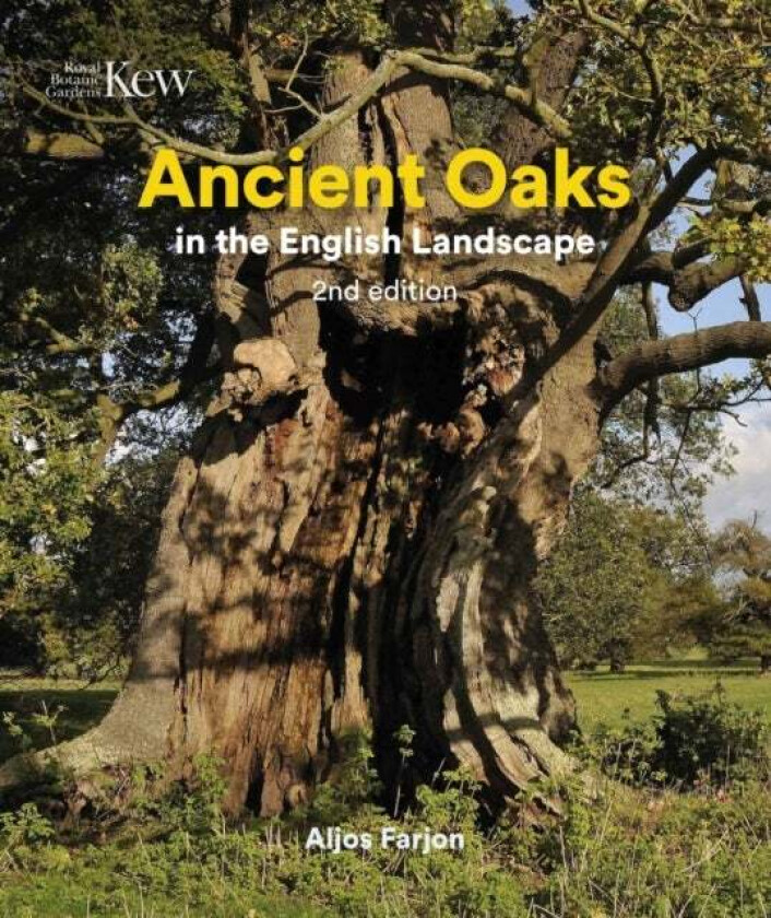 Ancient Oaks in the English Landscape av Aljos Farjon