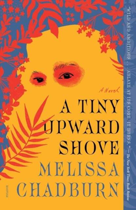 A Tiny Upward Shove av Melissa Chadburn