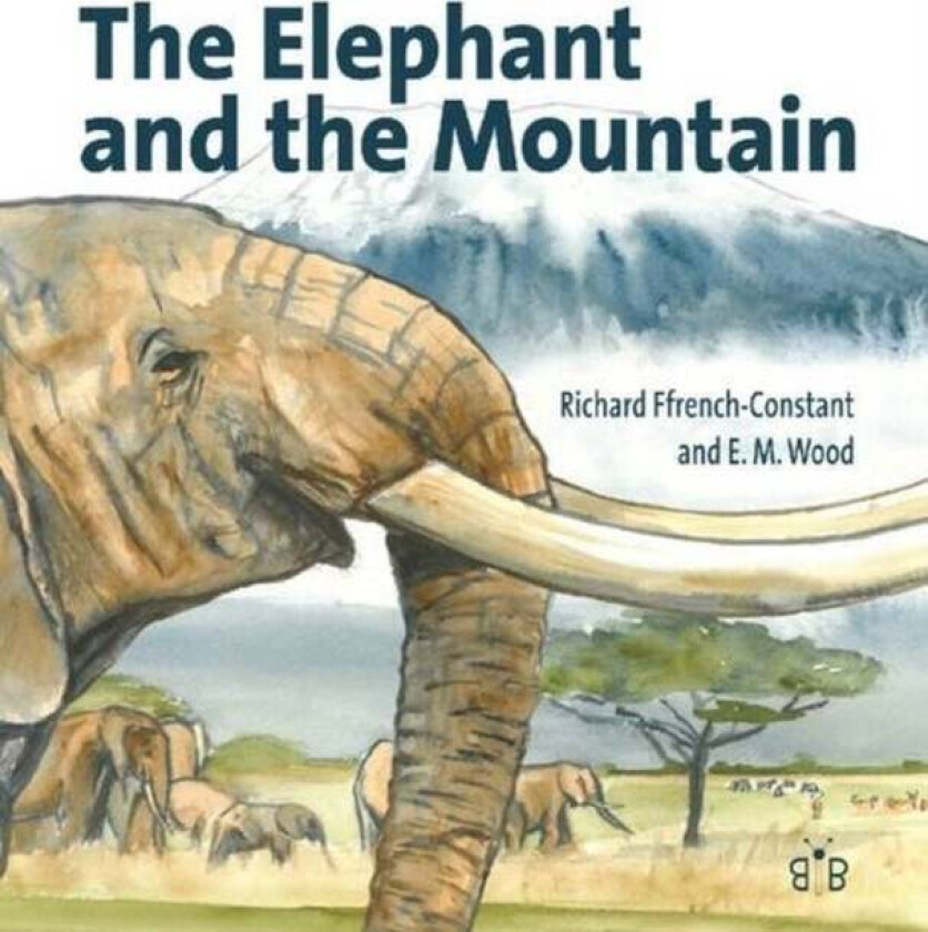 The Elephant and the Mountain av Richard H. Ffrench-Constant