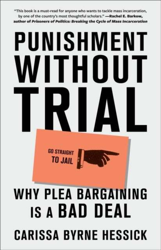 Punishment Without Trial av Carissa Byrne Hessick