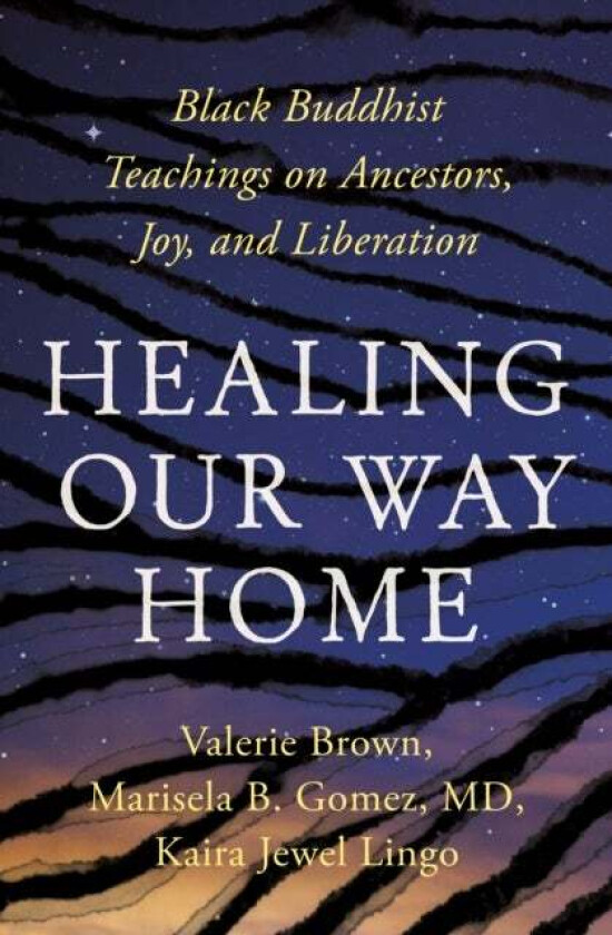 Healing Our Way Home av Kaira Jewel Lingo, Valerie Brown