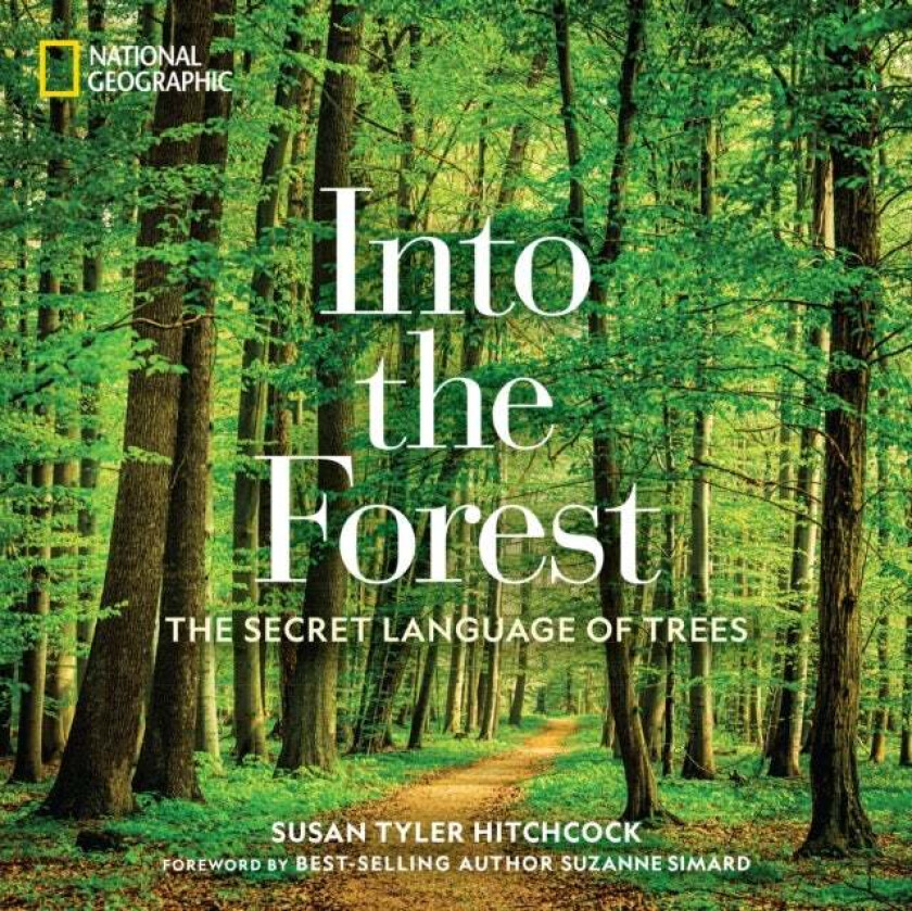 Into the Forest av Susan Tyler Hitchcock