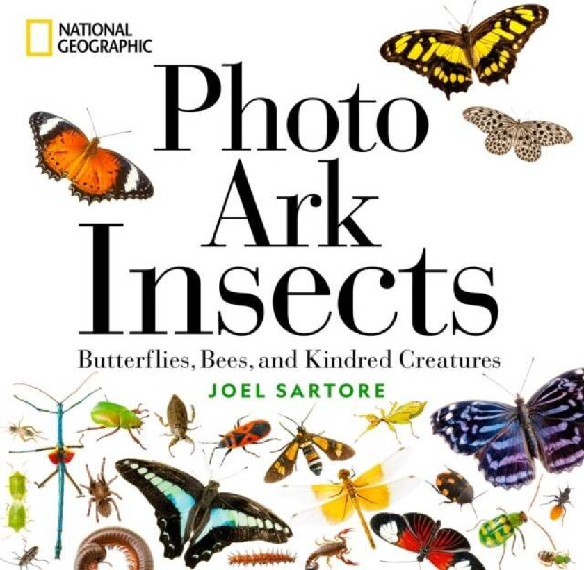 National Geographic Photo Ark Insects av Joel Sartore