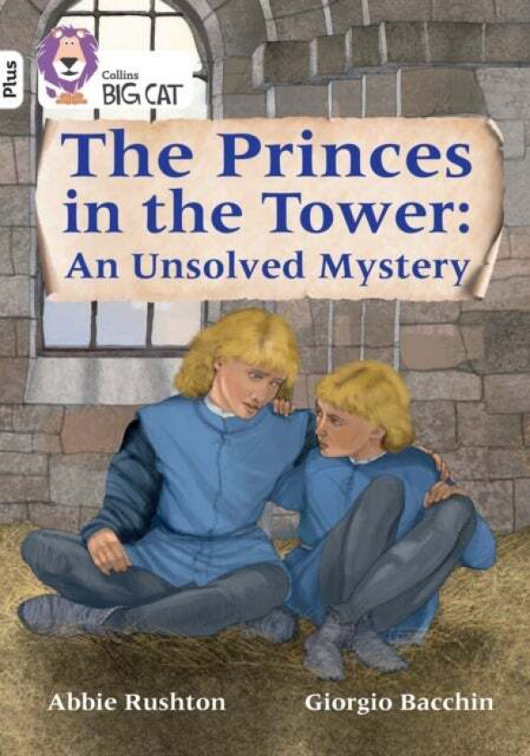 The Princes in the Tower: An Unsolved Mystery av Abbie Rushton