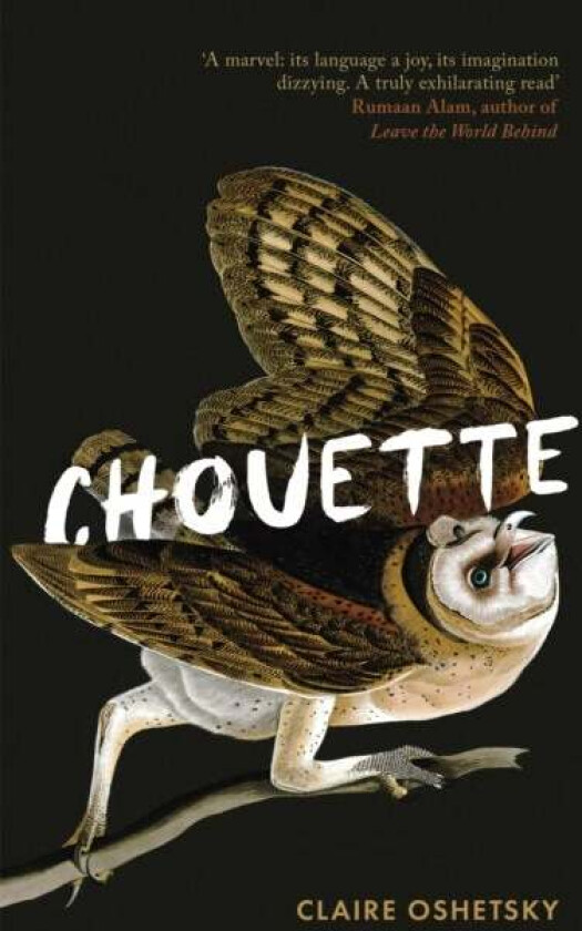 Chouette av Claire Oshetsky