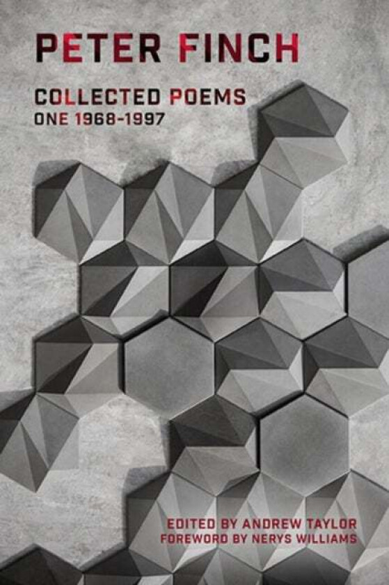 Collected Poems av Peter Finch