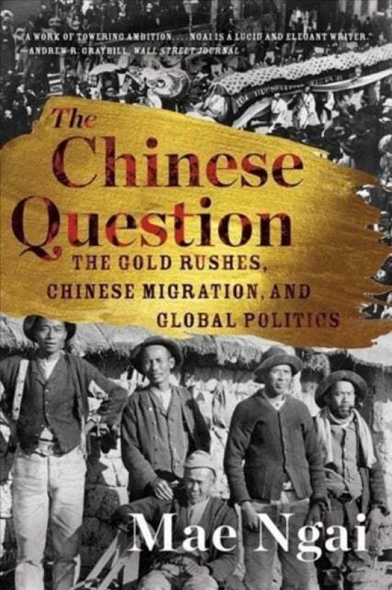 The Chinese Question av Mae (Columbia University) Ngai