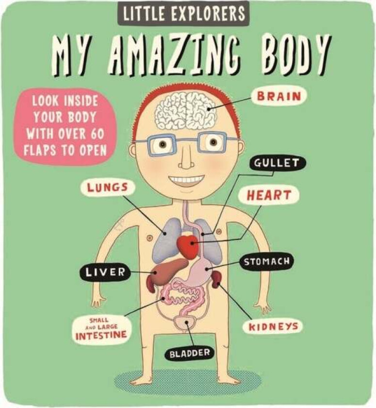 Little Explorers: My Amazing Body av Ruth Martin