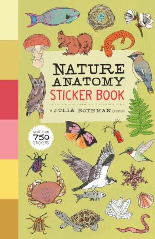 Nature Anatomy Sticker Book av Julia Rothman