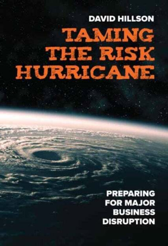 Taming the Risk Hurricane av David Hillson
