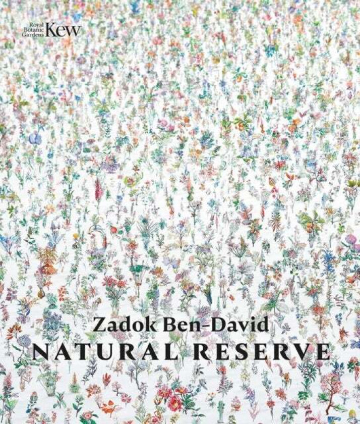 Natural Reserve av Zadok Ben-David