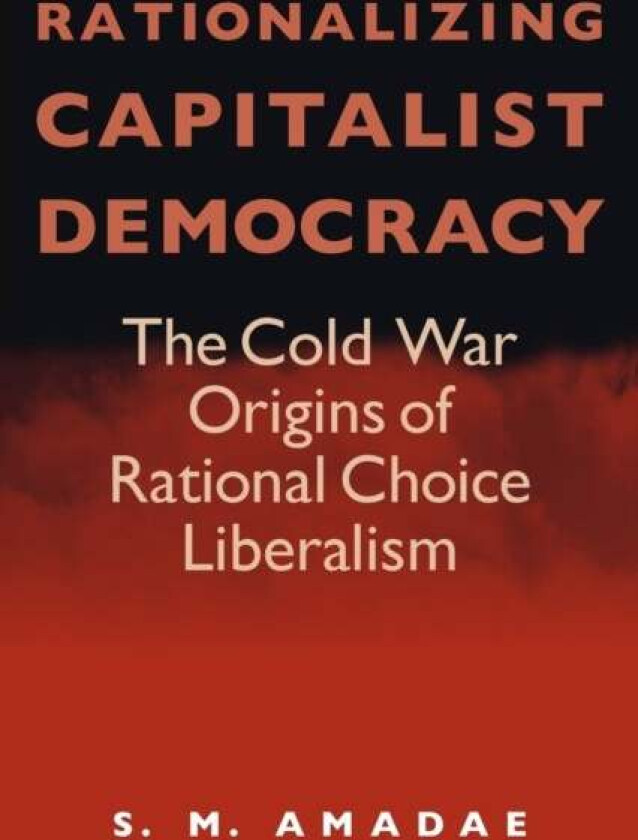 Rationalizing Capitalist Democracy av S.M. Amadae