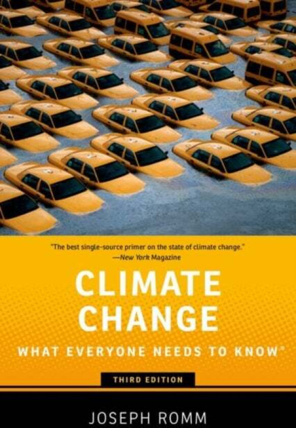 Climate Change av Joseph (Senior Fellow Senior Fellow Center for American Progress) Romm