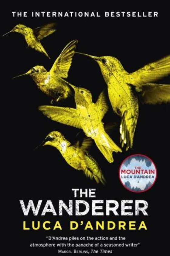 The Wanderer av Luca D'Andrea