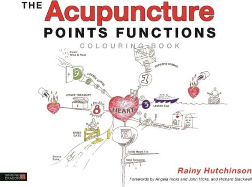 The Acupuncture Points Functions Colouring Book av Rainy Hutchinson