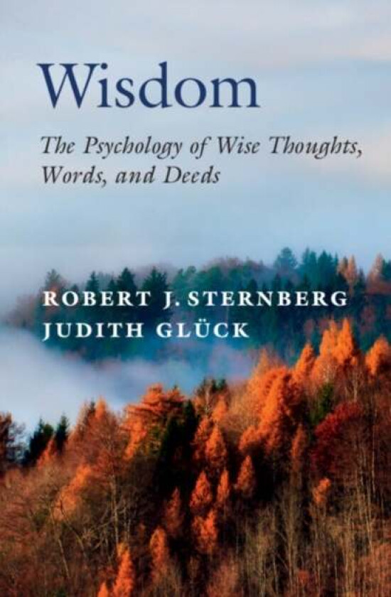 Wisdom av Robert J. (Cornell University New York) Sternberg, Judith Gluck