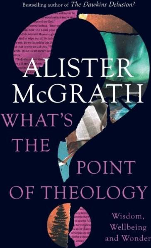 What's the Point of Theology? av Alister DPhil DD McGrath