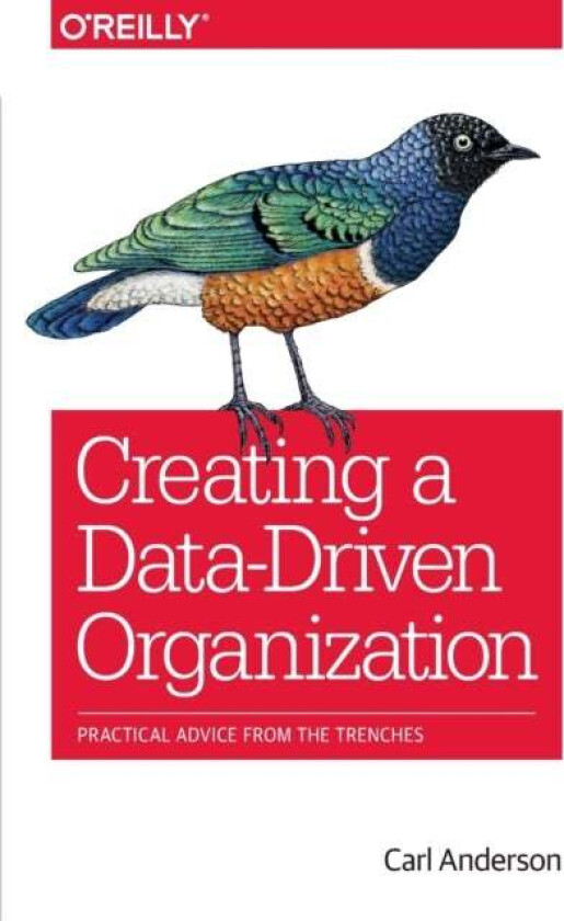 Creating a Data-Driven Organization av Carl Anderson