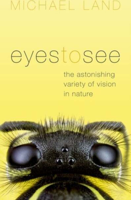 Eyes to See av Michael (Emeritus Professor of Neurobiology University of Sussex) Land