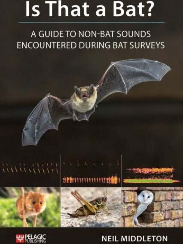 Is That a Bat? av Neil Middleton