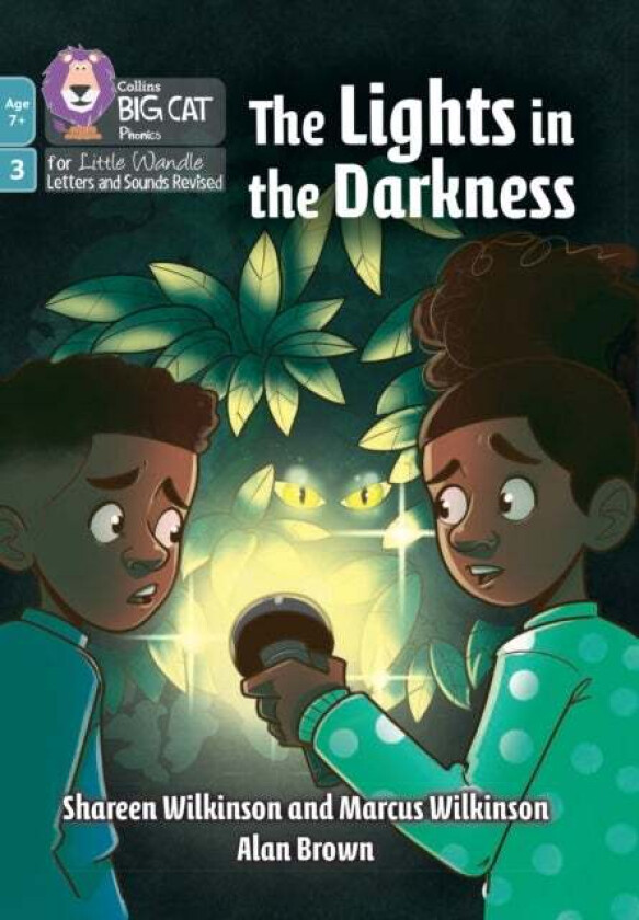The Lights in the Darkness av Shareen Wilkinson, Marcus Wilkinson