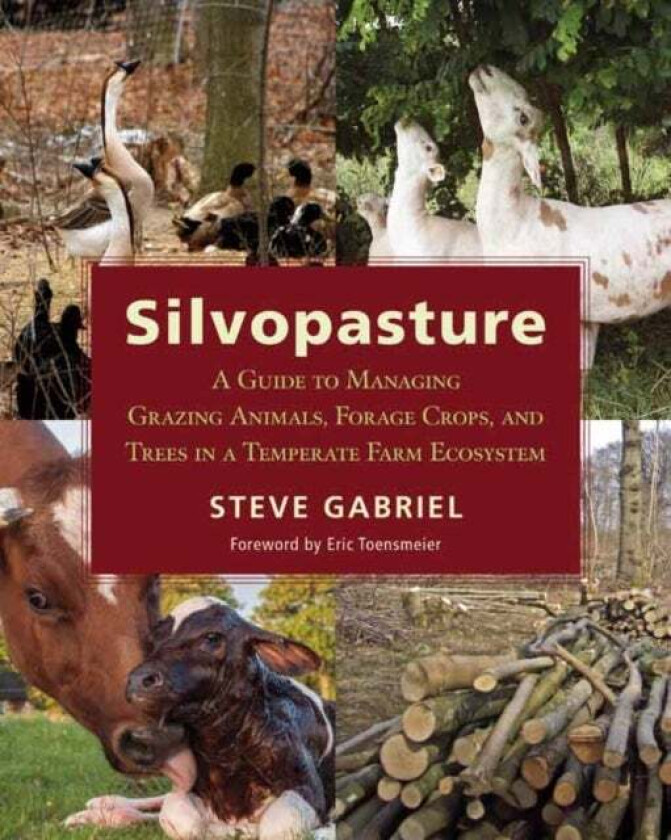 Silvopasture av Steve Gabriel