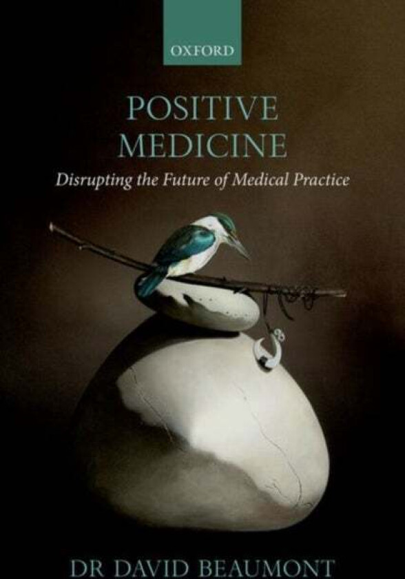 Positive Medicine av Dr David (Consultant Occupational Physician Consultant Occupational Physician Positive Medicine Ltd) Beaumont