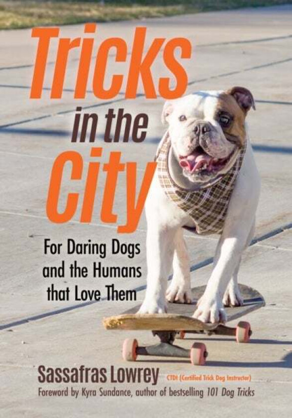 Tricks in the City av Sassafras Lowrey