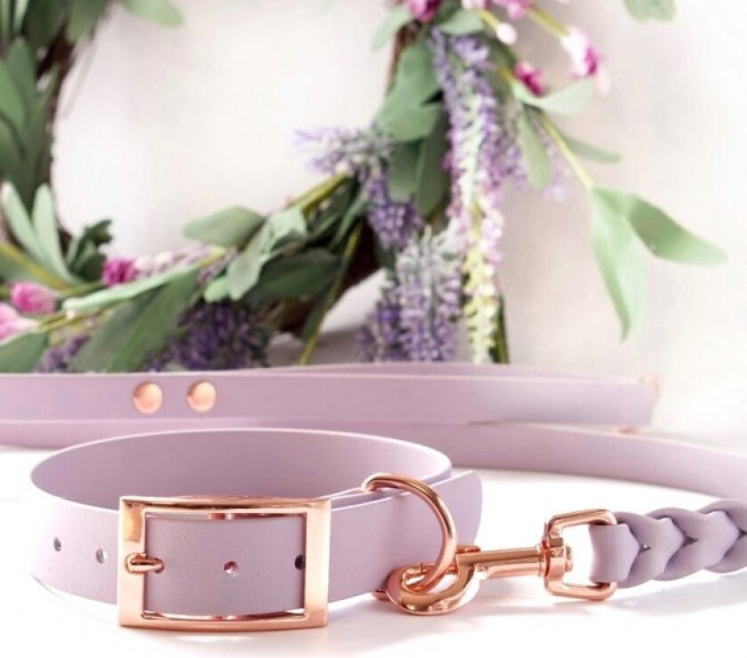 Tyylivoitto Classy Hundehalsbånd Stor Modell Lila (XL)