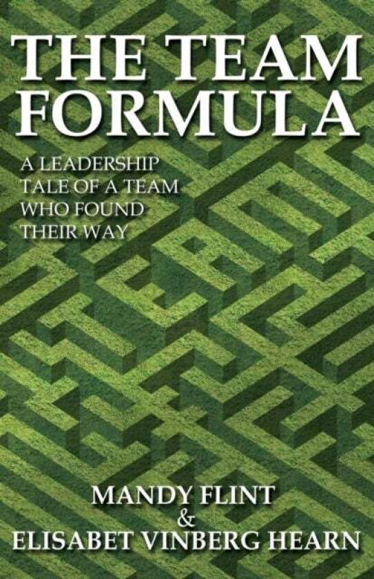 The Team Formula - A Leadership Tale of a Team That Found Their Way av Mandy Flint, Elisabet Vinberg Hearn