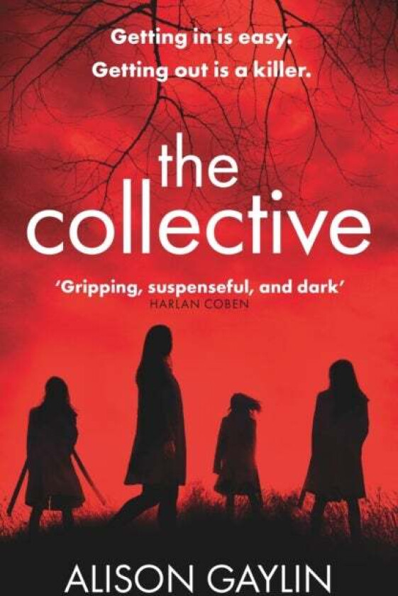 The Collective av Alison Gaylin