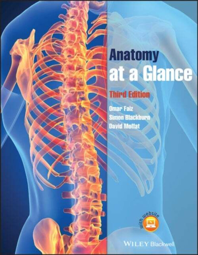 Anatomy at a Glance av Omar (Imperial College London) Faiz, Simon (Chelsea & Westminster Hospital London) Blackburn, David (Cardiff University) Mo