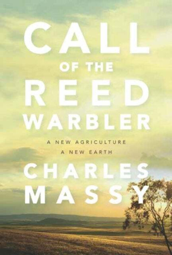 Call of the Reed Warbler av Charles Massy