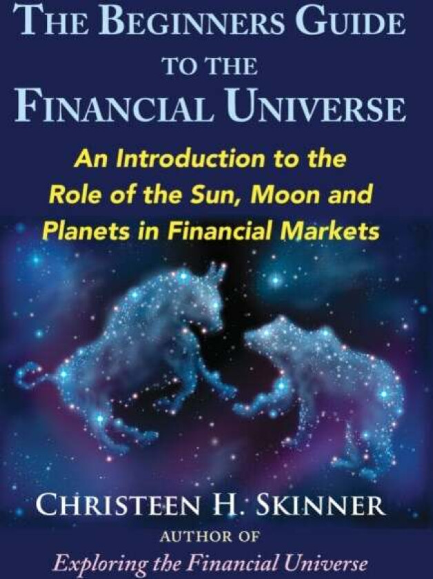 The Beginners Guide to the Financial Universe av Christeen H. (Christeen H. Skinner) Skinner