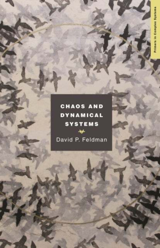 Chaos and Dynamical Systems av David Feldman