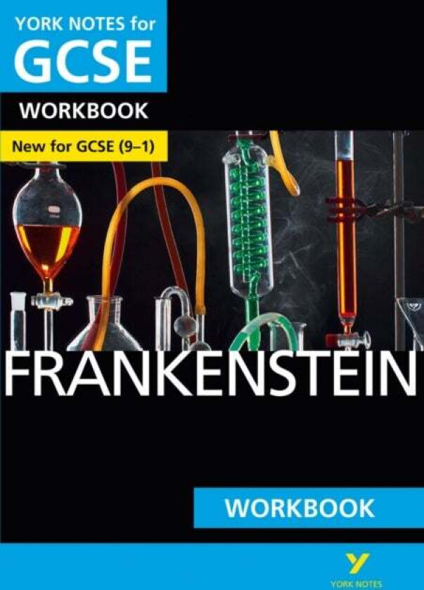 Frankenstein: York Notes for GCSE Workbook the ideal way to catch up, test your knowledge and feel r av Mary Shelley, Susan Chaplin