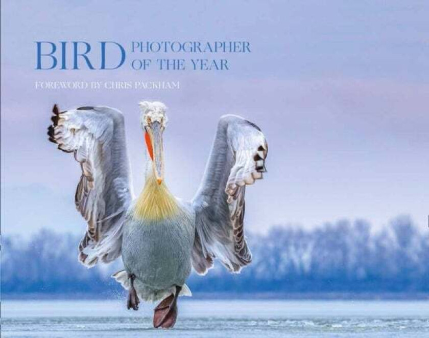 Bird Photographer of the Year av Bird Photographer of the Year