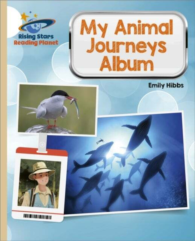 Reading Planet - My Animal Journeys Album - Gold: Galaxy av Emily Hibbs